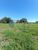 Chácara, 4800 m² - Foto 27