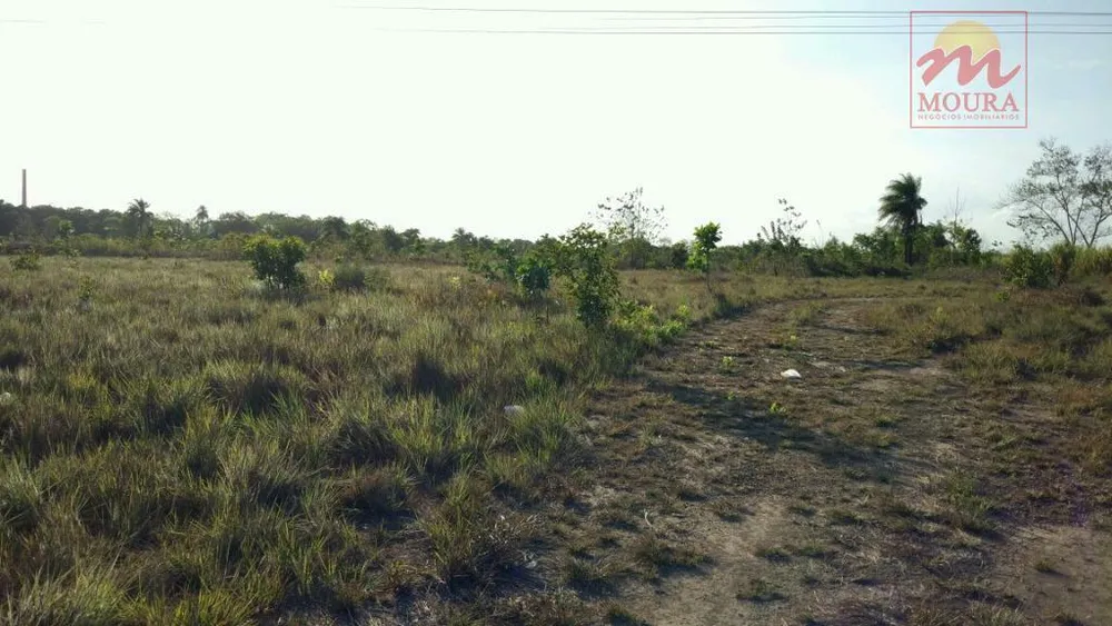 Terreno, 14 hectares - Foto 4