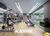 Apartamento, 3 quartos, 74 m² - Foto 3