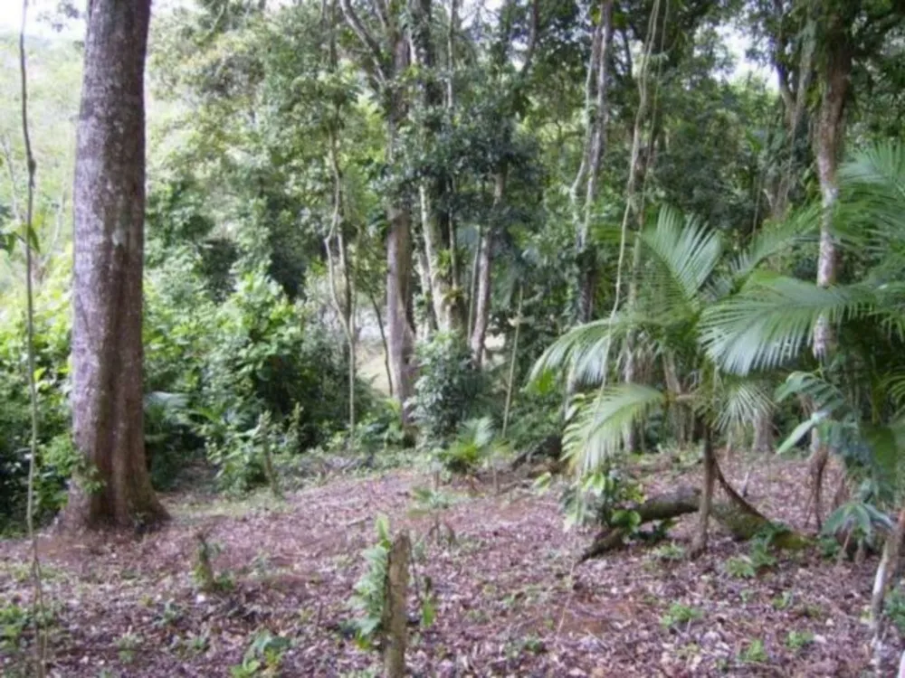 Terreno, 5633 m² - Foto 1