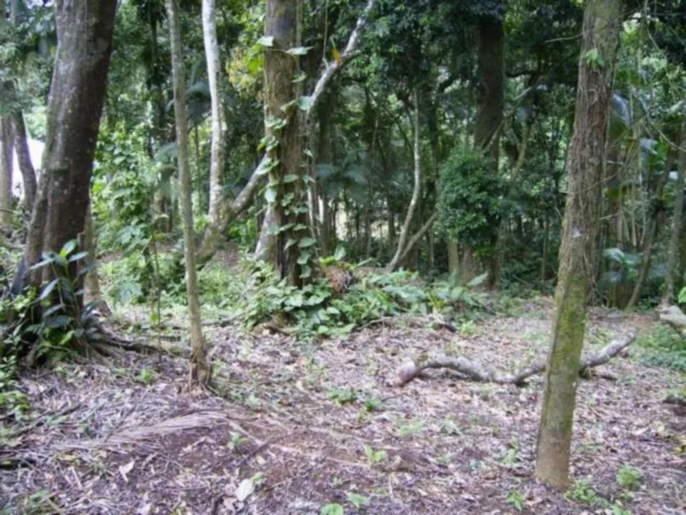 Terreno, 5633 m² - Foto 11