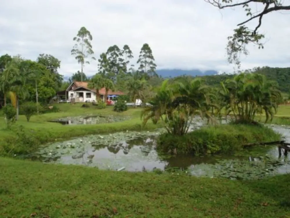 Sítio, 12 hectares - Foto 7
