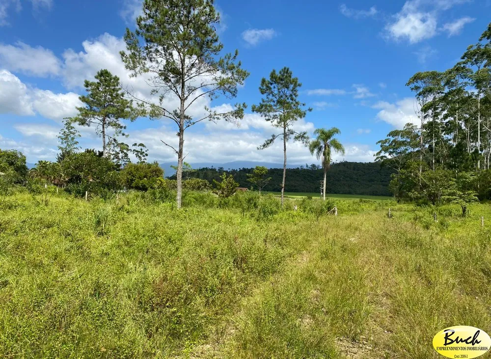 Sítio, 12 hectares - Foto 10