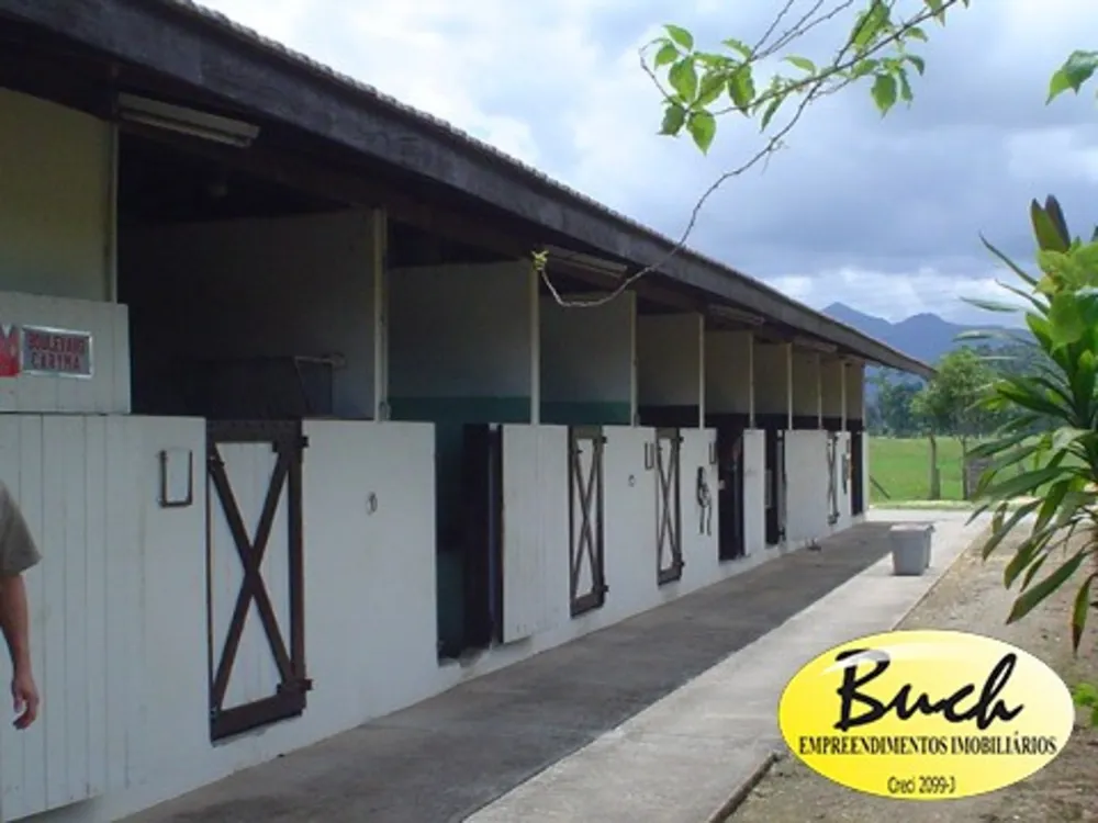 Casa, 4 quartos, 500 m² - Foto 4