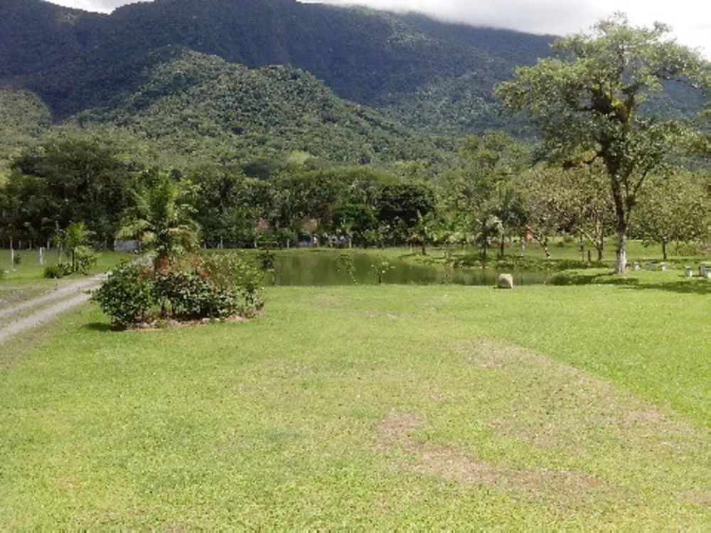 Chácara, 3 quartos - Foto 3