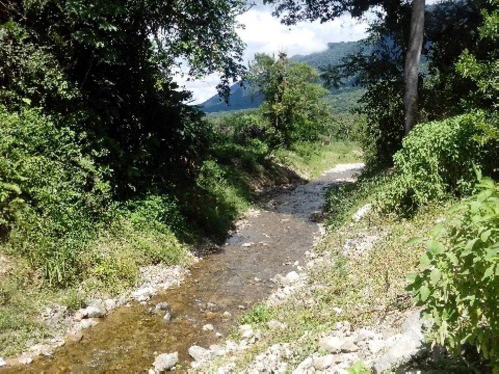 Sítio, 3 quartos - Foto 6