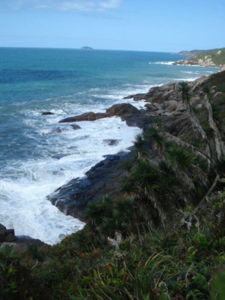 Terreno, 12 hectares - Foto 21