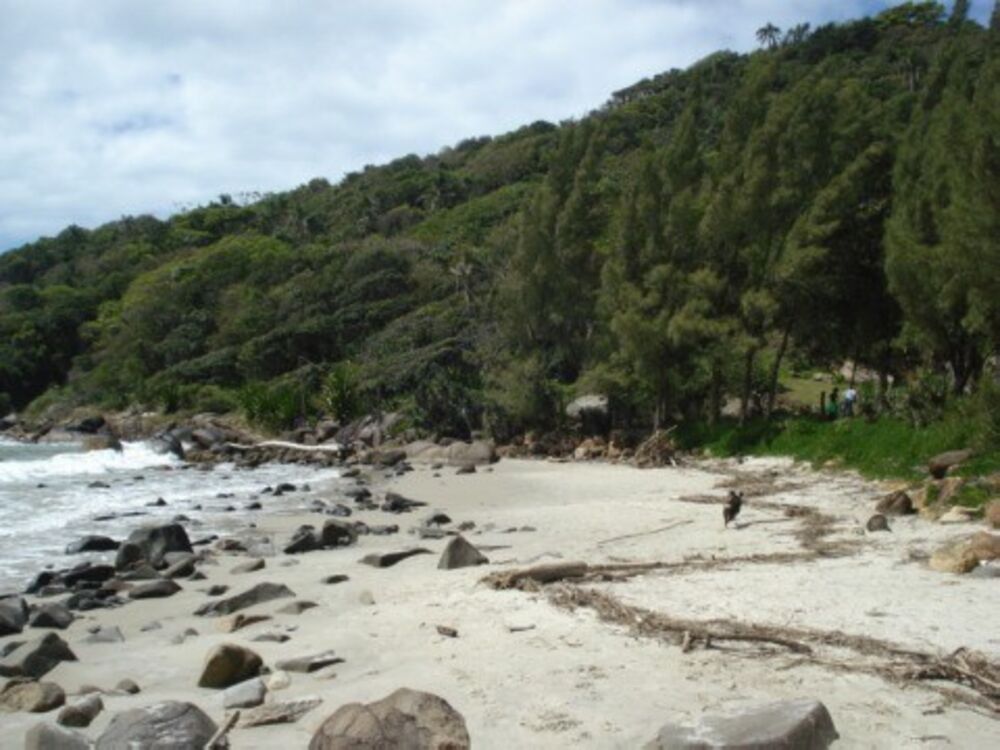 Terreno, 12 hectares - Foto 25