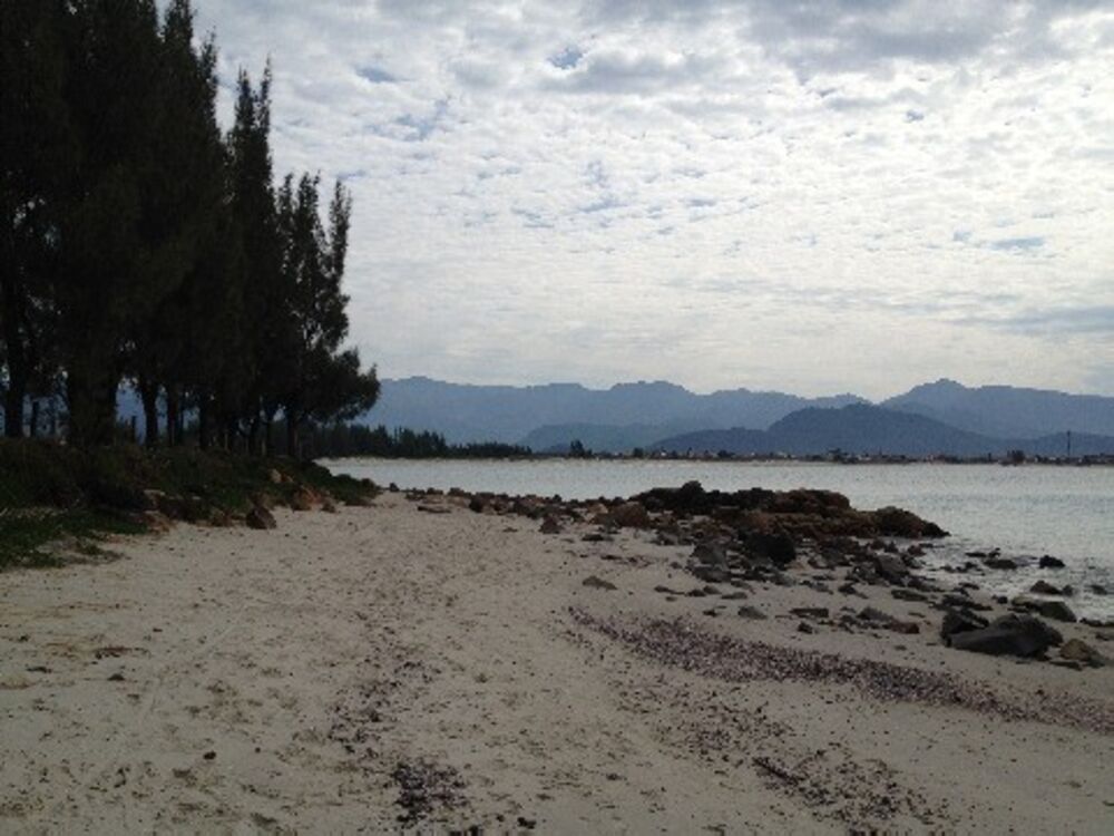 Terreno, 12 hectares - Foto 17