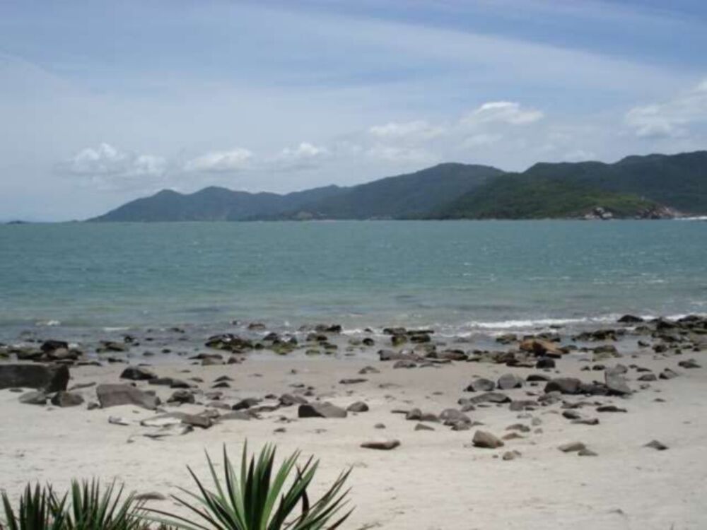 Terreno, 12 hectares - Foto 11