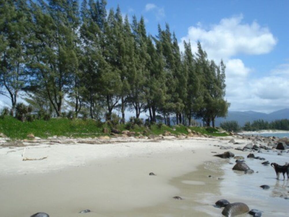 Terreno, 12 hectares - Foto 26