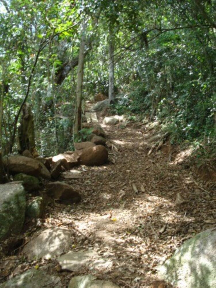 Terreno, 12 hectares - Foto 22