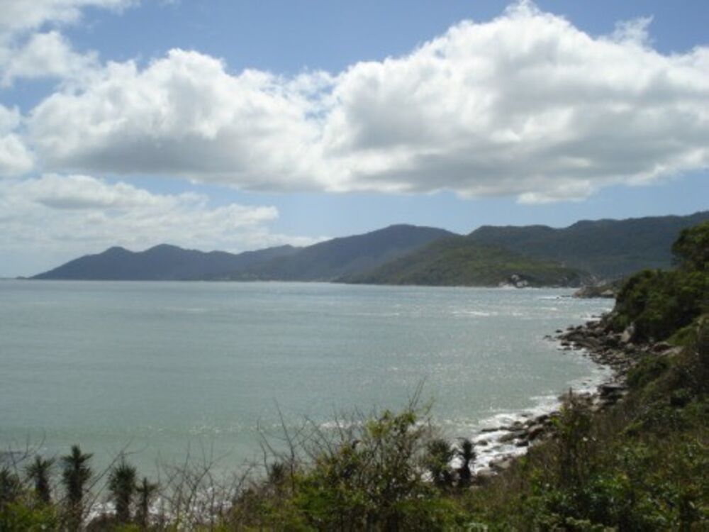 Terreno, 12 hectares - Foto 29