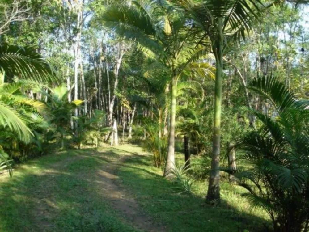 Chácara, 3 quartos - Foto 1