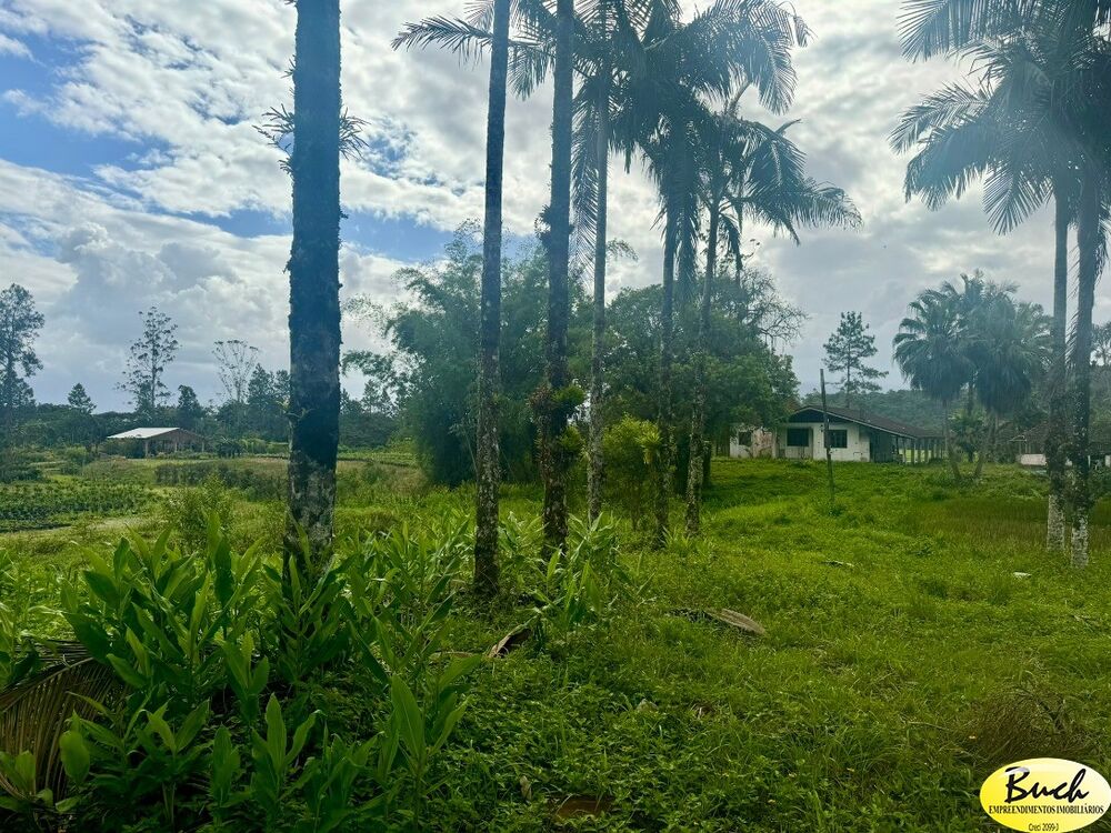 Sítio, 12 hectares - Foto 1