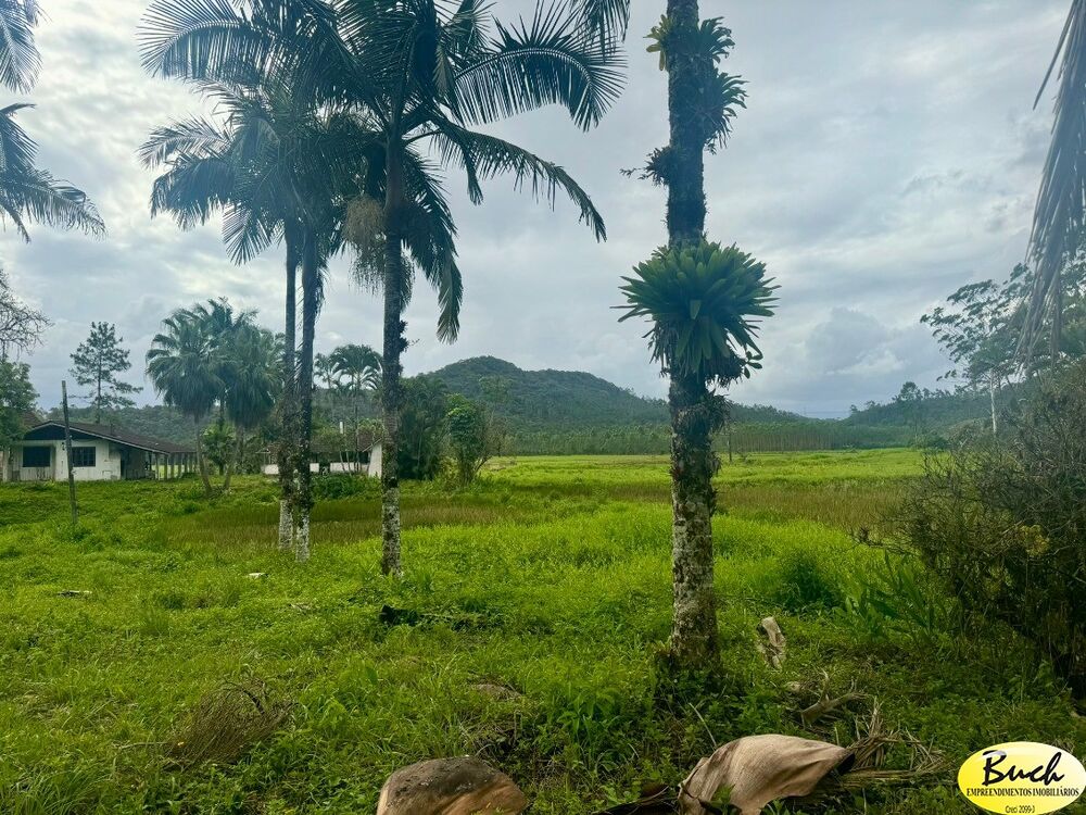 Sítio, 12 hectares - Foto 8