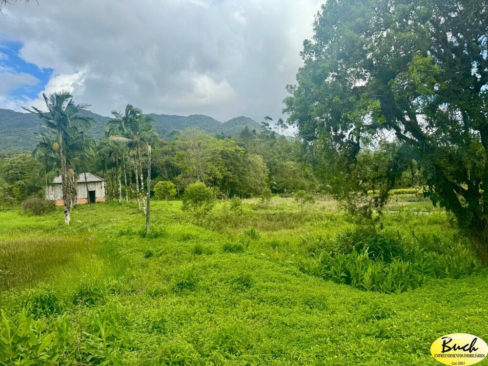 Sítio, 12 hectares - Foto 7