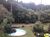 Casa, 4 quartos, 850 m² - Foto 6