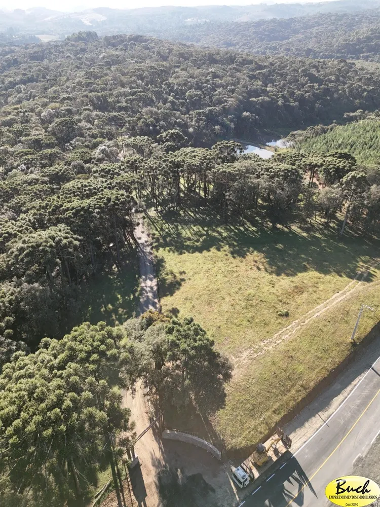 Terreno, 3 hectares - Foto 1