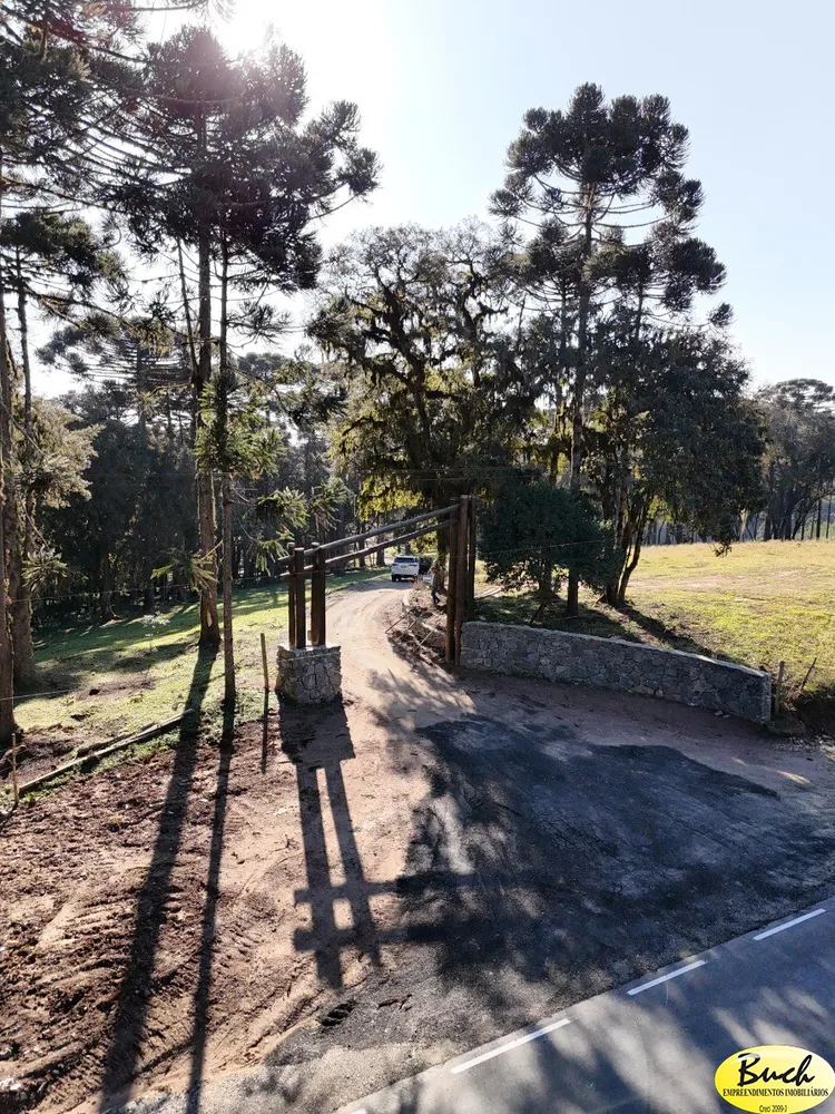 Terreno, 3 hectares - Foto 2