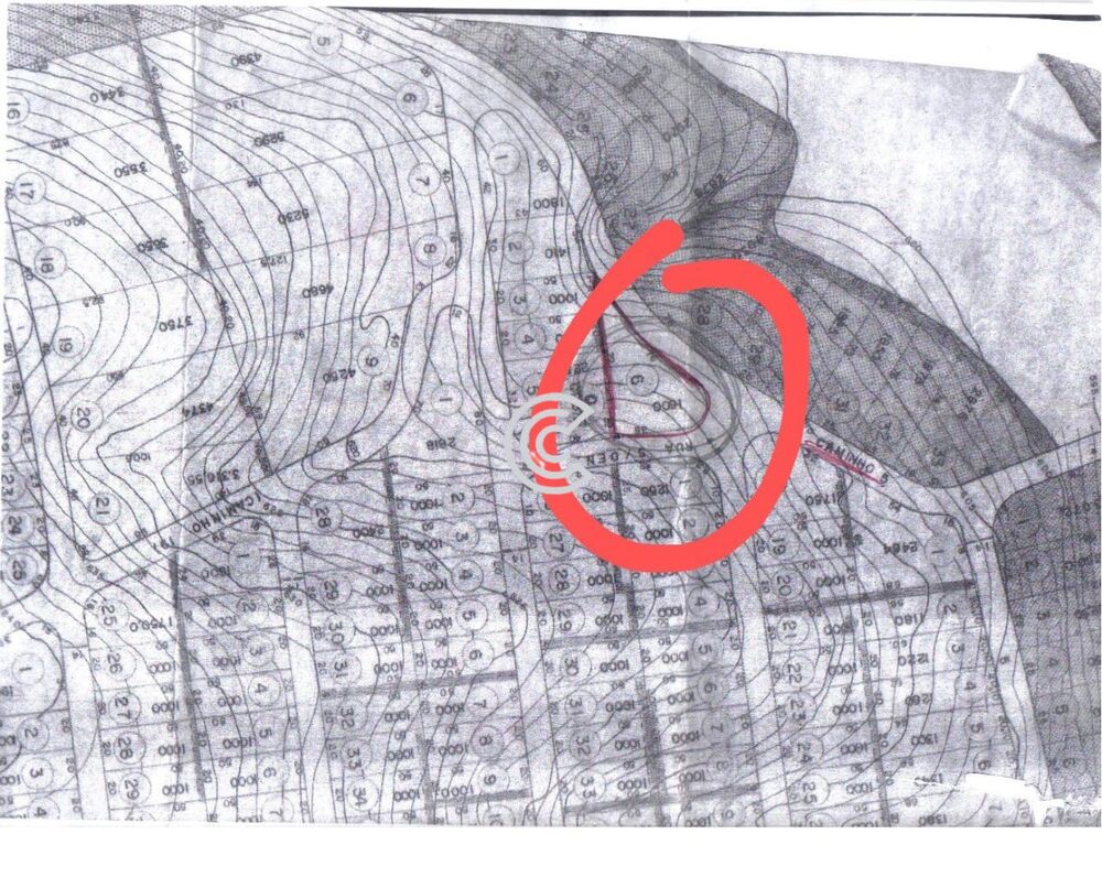 Terreno, 1960 m² - Foto 4