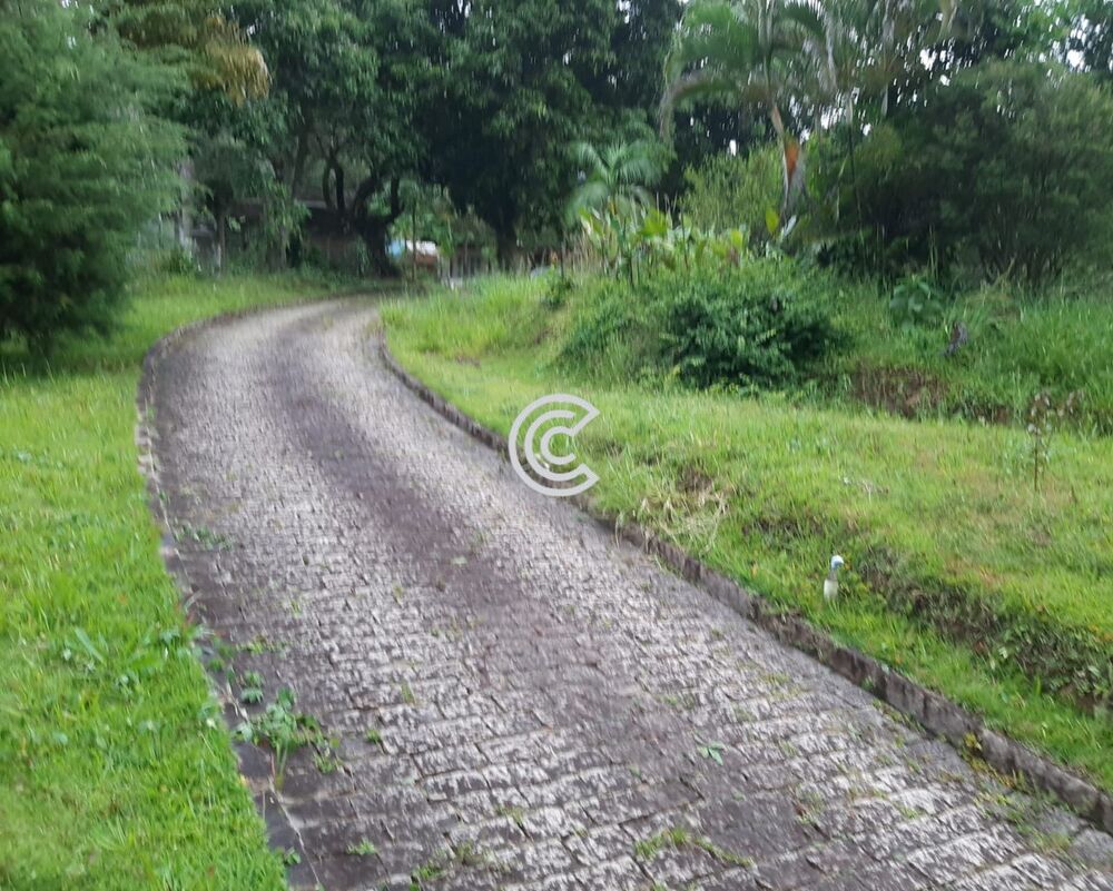 Chácara à venda com 2 quartos - Foto 9