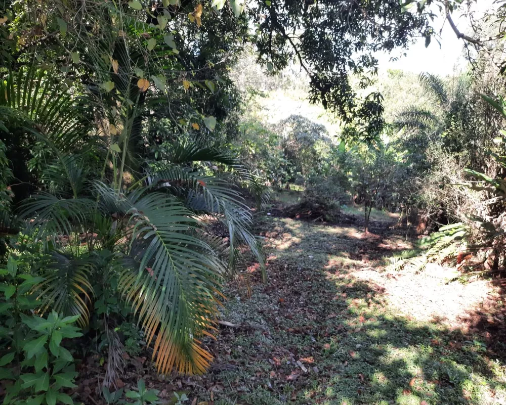 Chácara, 5 quartos, 5625 m² - Foto 35