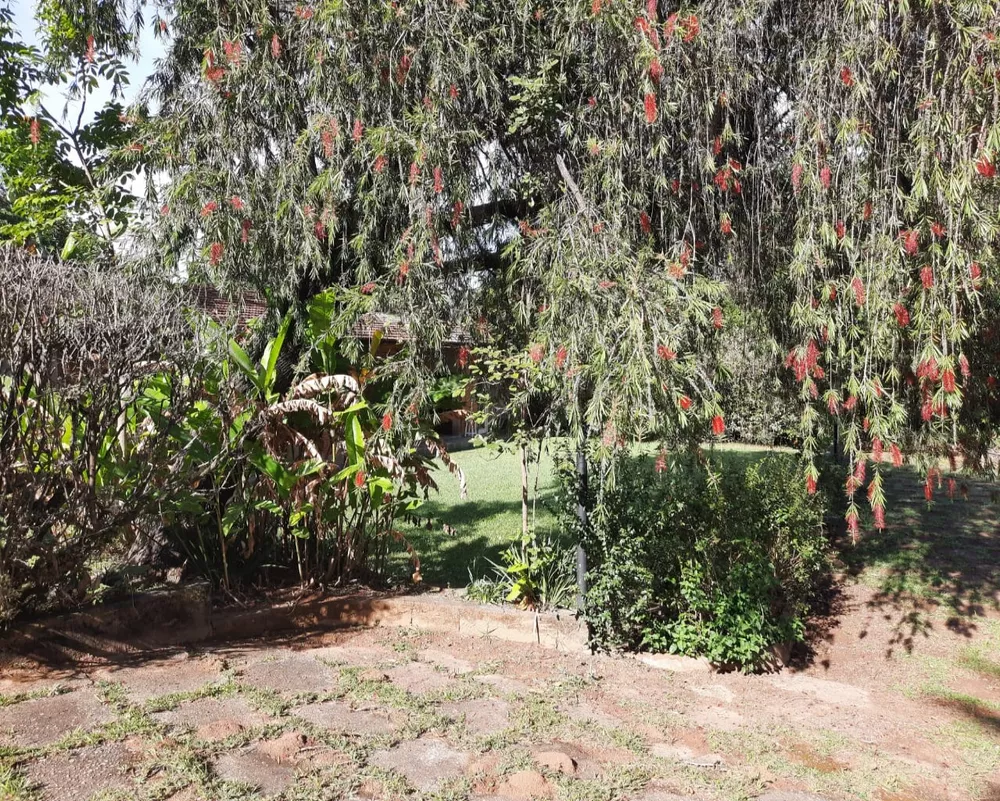 Chácara, 5 quartos, 5625 m² - Foto 6