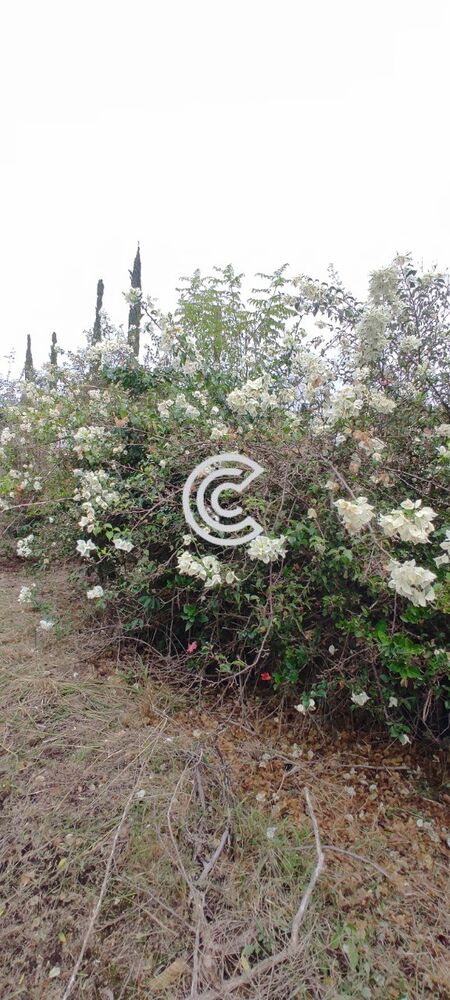 Chácara, 4 quartos, 2020 m² - Foto 33