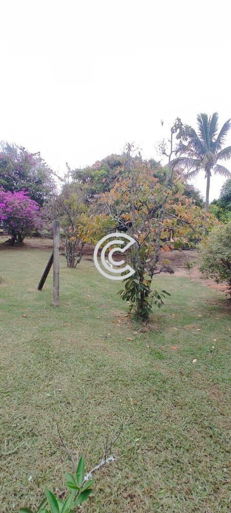 Chácara, 4 quartos, 2020 m² - Foto 21