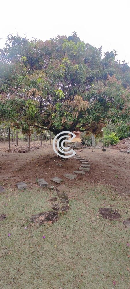 Chácara, 4 quartos, 2020 m² - Foto 26