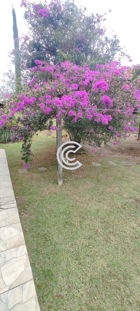 Chácara, 4 quartos, 2020 m² - Foto 25