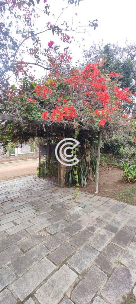 Chácara à venda com 4 quartos, 2020m² - Foto 18