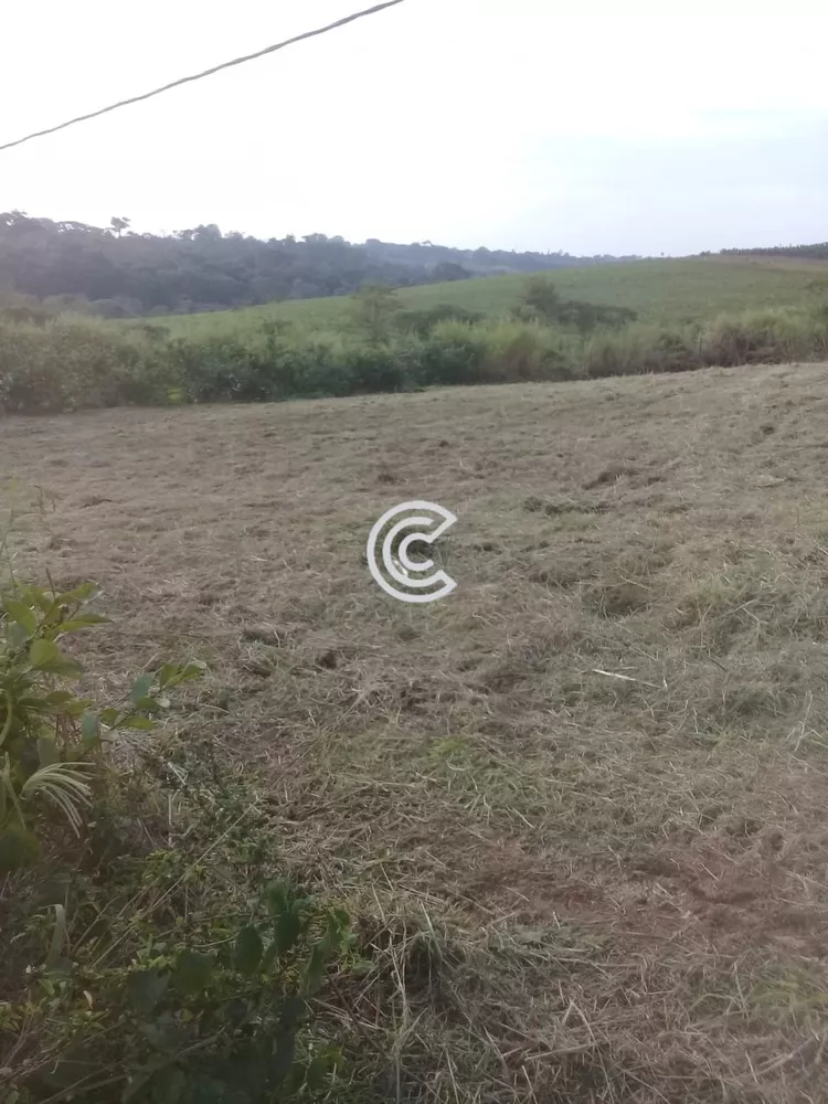 Sítio, 3 quartos, 51000 m² - Foto 9