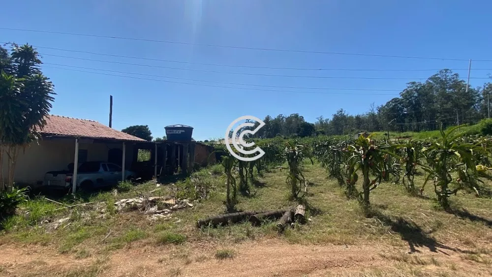 Sítio, 3 quartos, 51000 m² - Foto 11