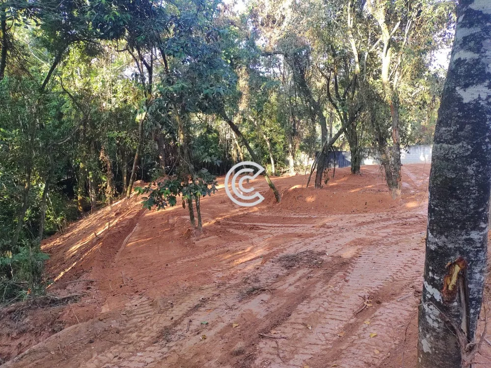 Terreno, 5034 m² - Foto 4