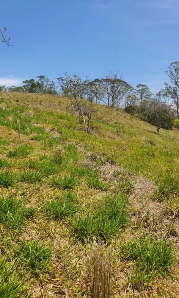 Terreno, 3 hectares - Foto 4