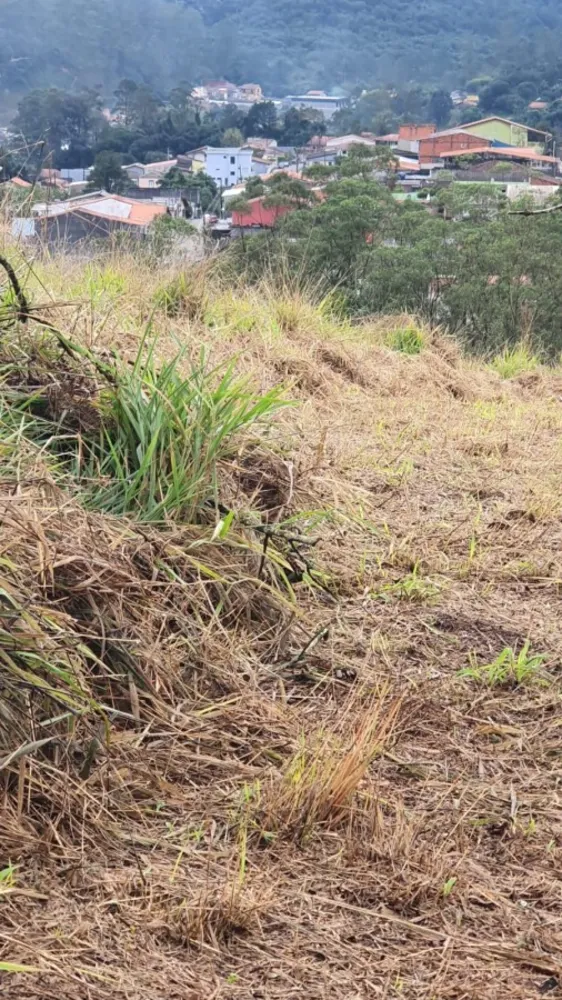 Terreno, 3 hectares - Foto 6