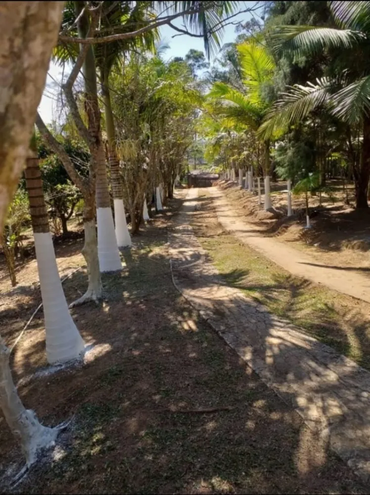 Terreno, 3 hectares - Foto 1