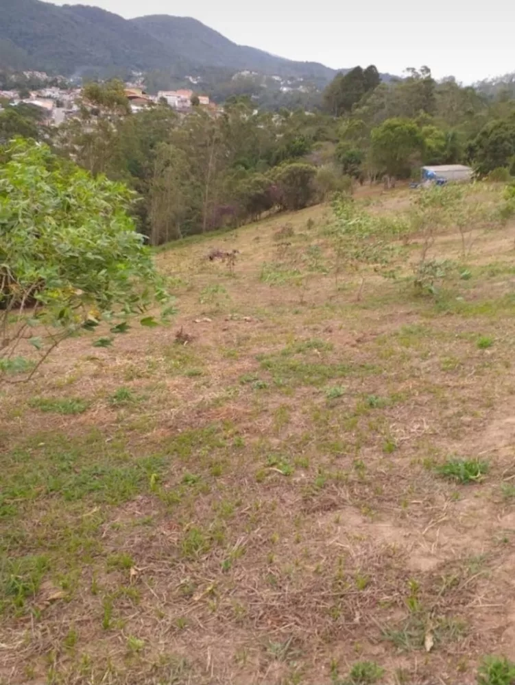 Terreno, 3 hectares - Foto 3