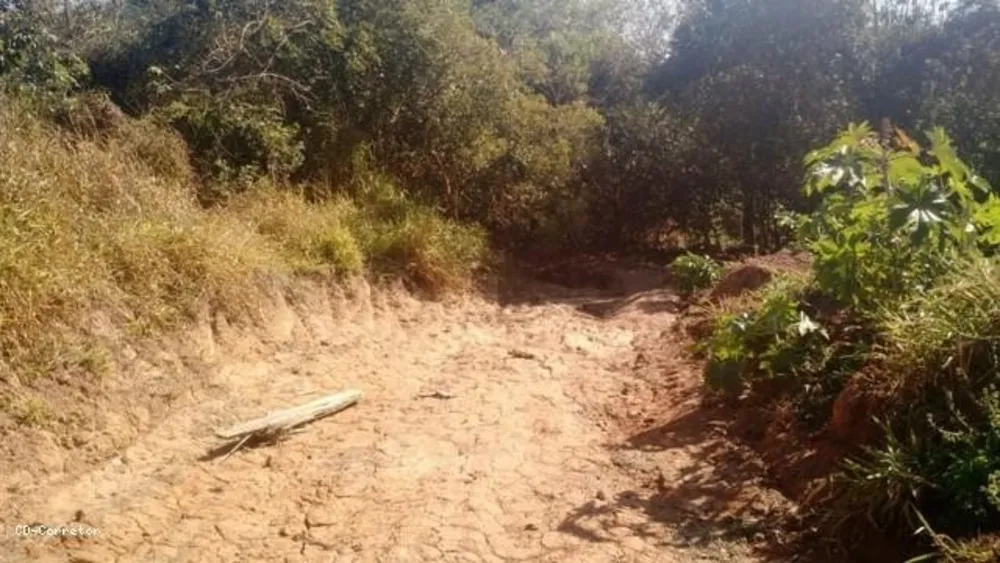 Terreno, 10000 m² - Foto 2