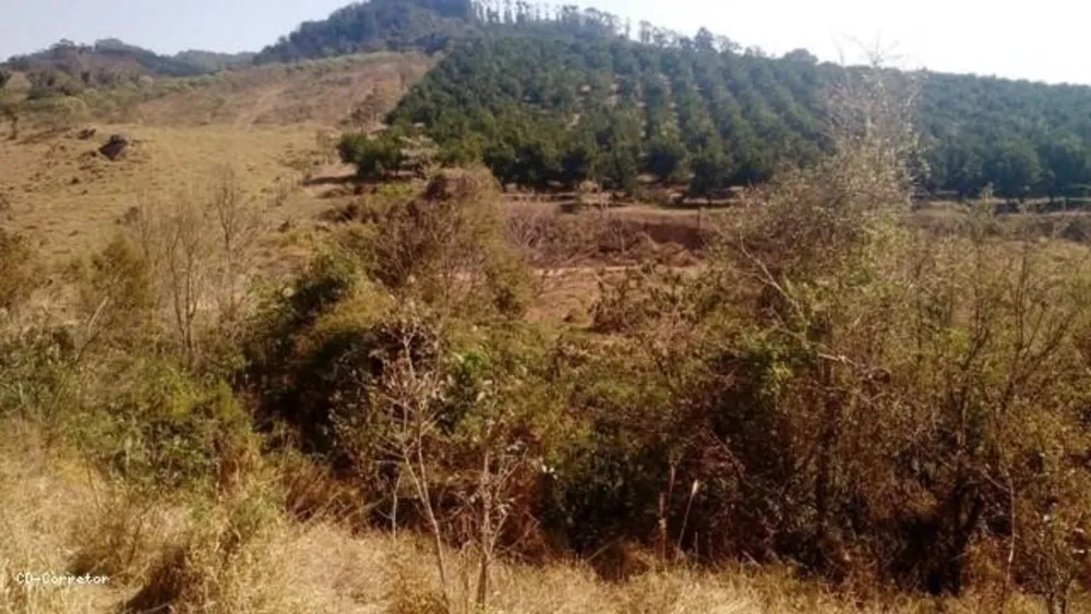 Terreno, 10000 m² - Foto 9
