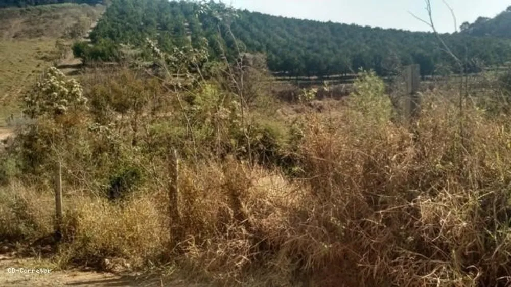 Terreno, 10000 m² - Foto 6