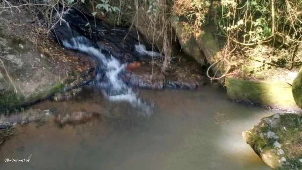 Terreno, 10000 m² - Foto 2