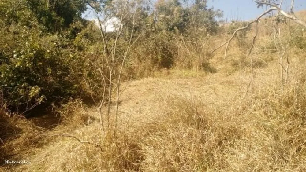 Terreno, 10000 m² - Foto 12