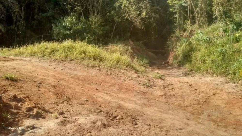 Terreno, 10000 m² - Foto 4