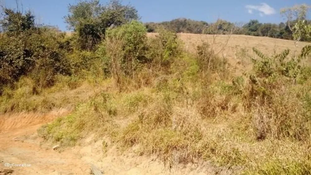 Terreno, 10000 m² - Foto 3