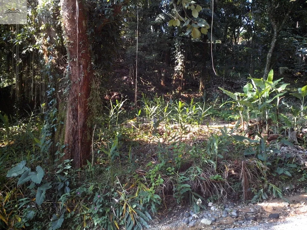 Terreno, 604 m² - Foto 4