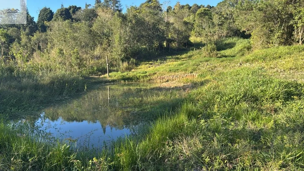 Chácara, 3 quartos - Foto 5