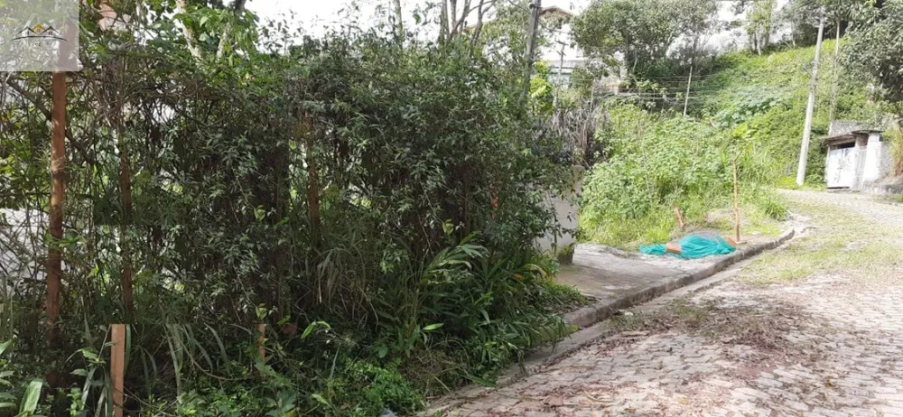 Terreno, 505 m² - Foto 2